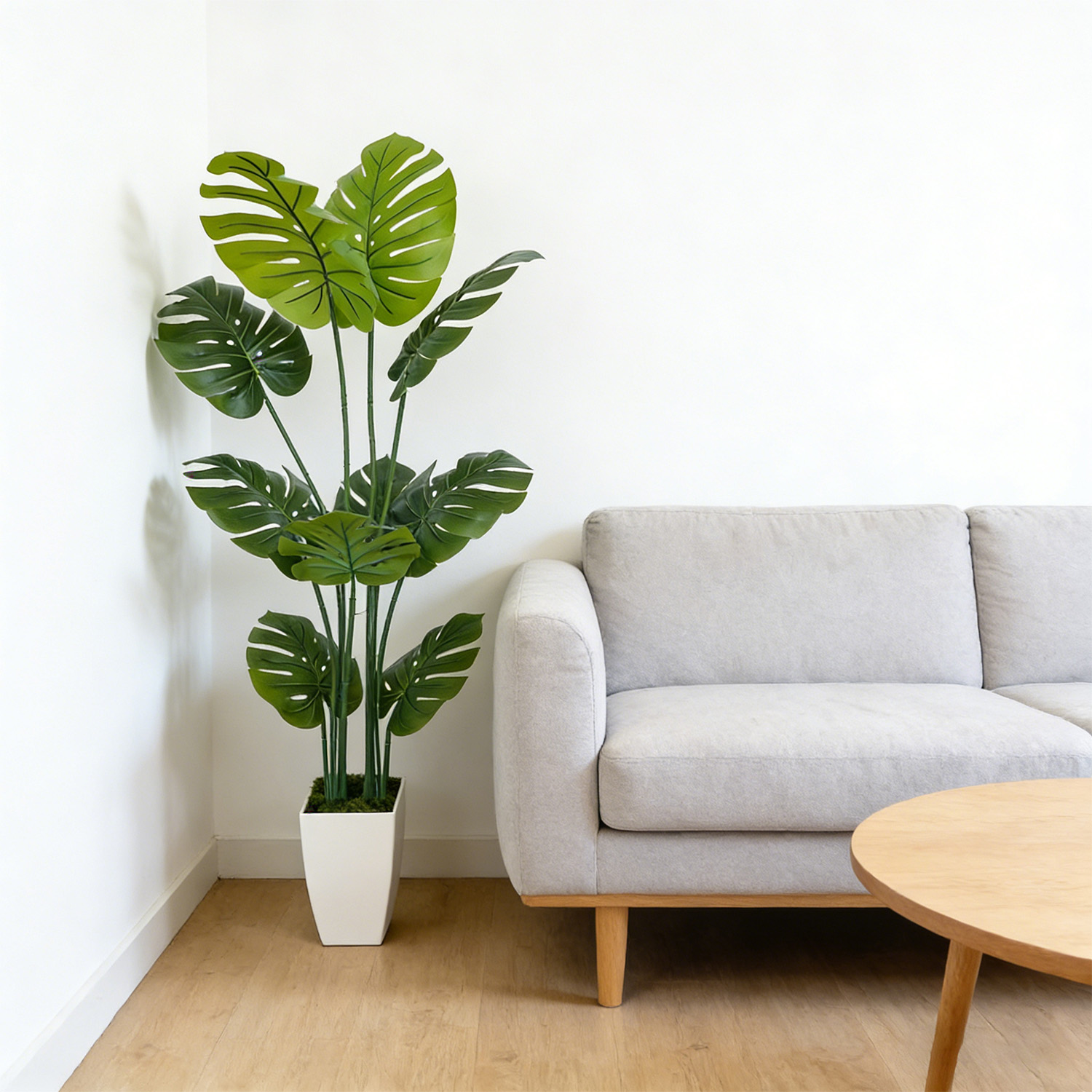 140Cm/4.6Ft Artificial Monster - Dracaena Marginata review and price