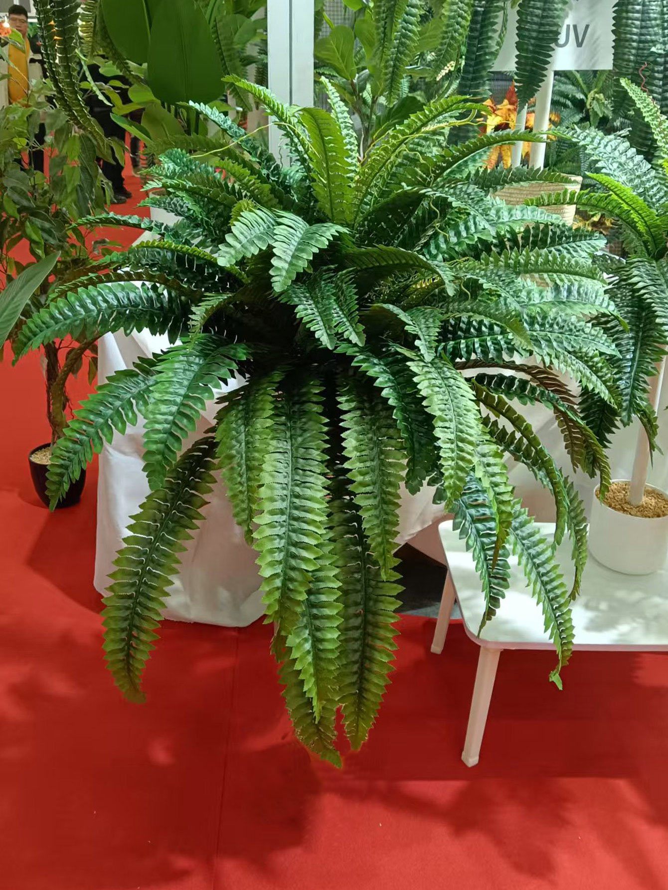 28/58/88 Leaves Artificial Bos - Dracaena Marginata review and price