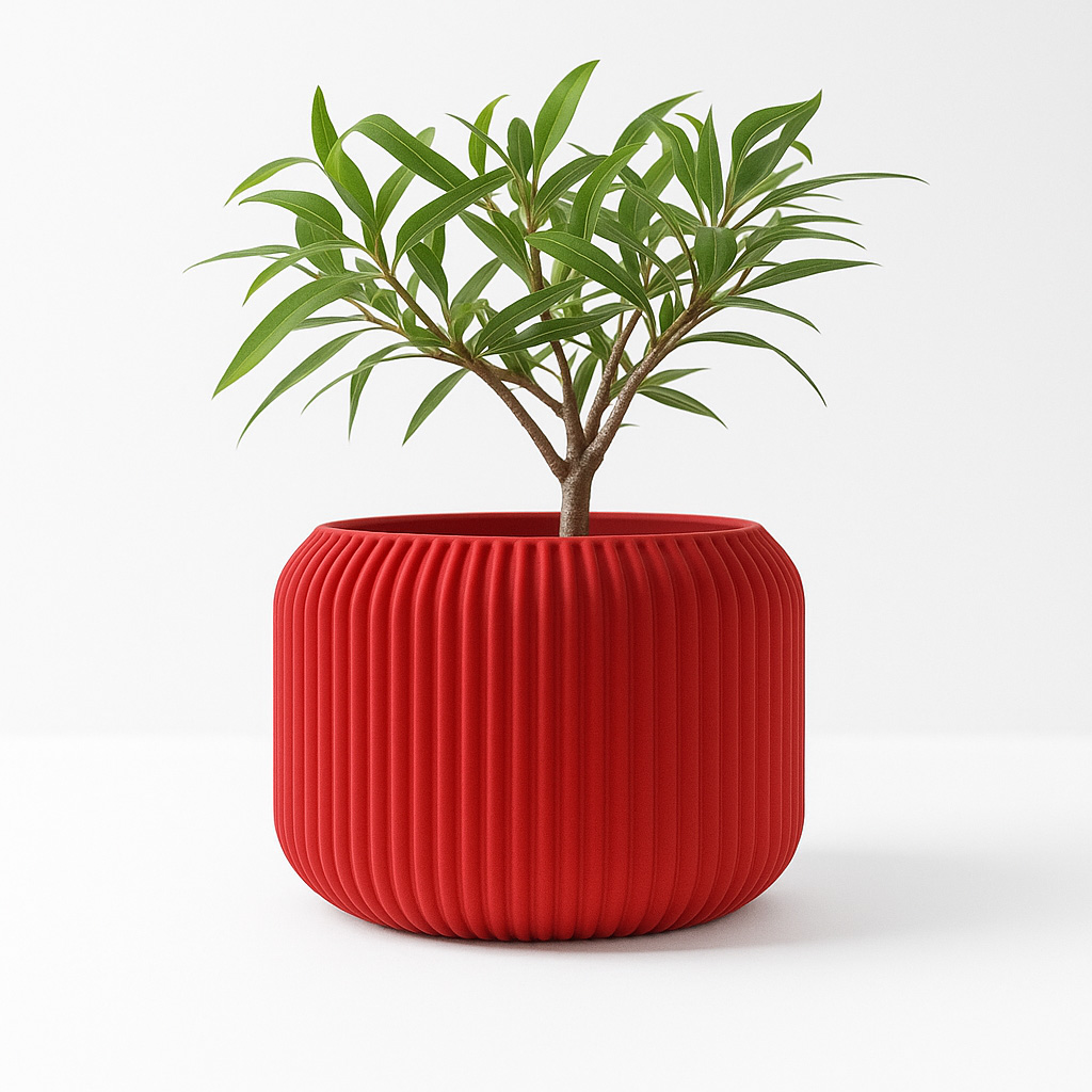 Modern Minimalist 3D Printed P - Aloe Vera Pot review and price