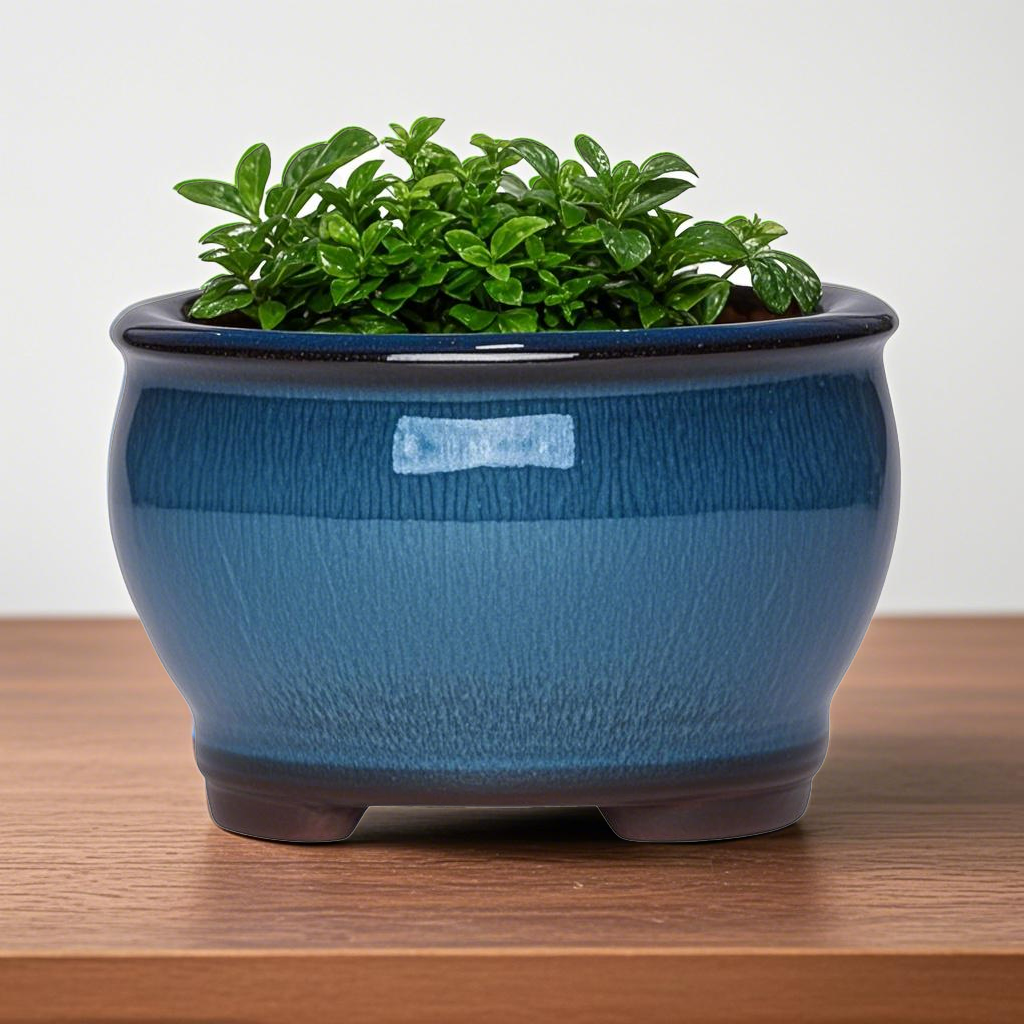 Ceramic Garden Planter Pots Ce - Aloe Vera Pot review and price