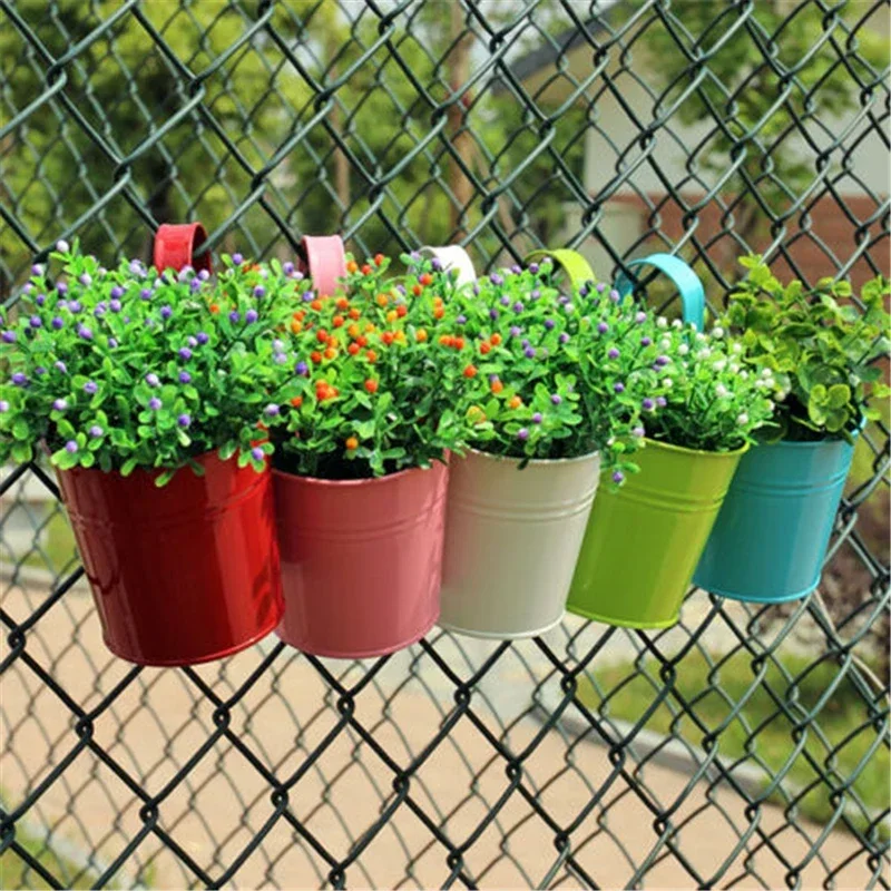 10 Colors Metal Iron Flower Wa - Echeveria Succulent review and price