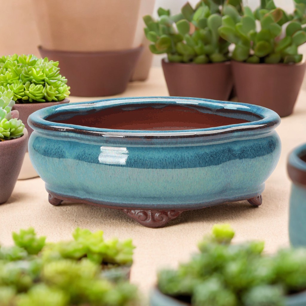 Ceramic Succulent Flower Pot C - Pilea Peperomioides review and price